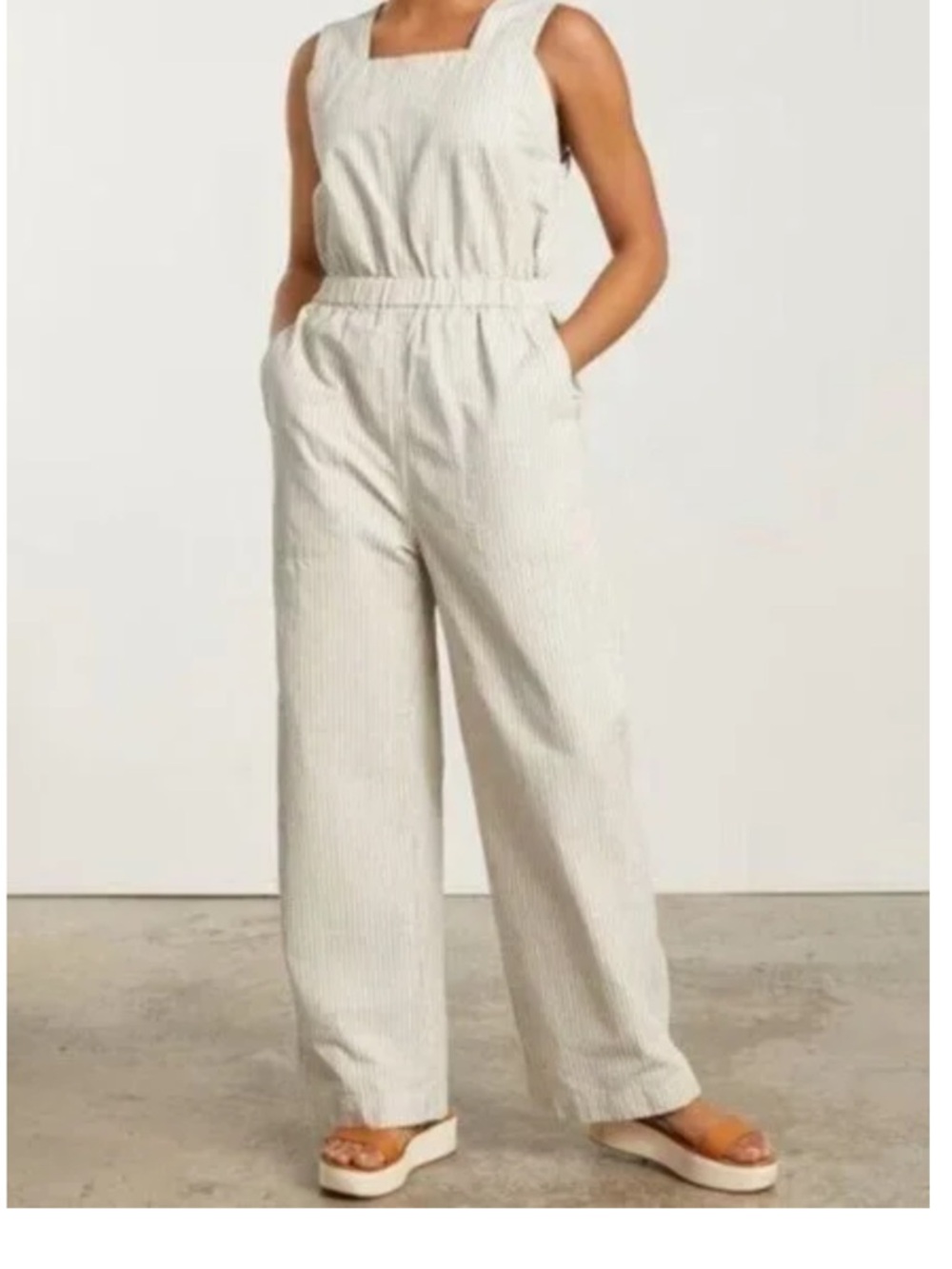 Everlane Sleeveless Pinstripe Jumpsuit